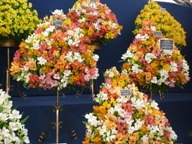 RHS Malvern Spring Garden Show