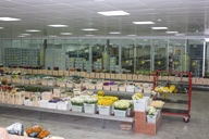 Bristolのフラワーマーケット　Cash and Carry Flowervision