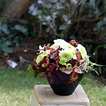 Chrysanthemum dome arrangement