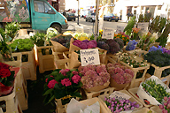 A flower market on a street, Notting hill, London