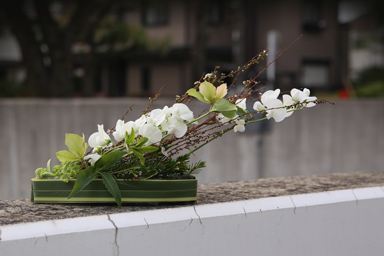 Olbique floral arrangement