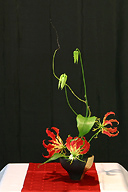 egg shell arrangement with gloriosa lily, summer 2010