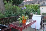 庭の植物とフラットワイヤーのアレンジメント